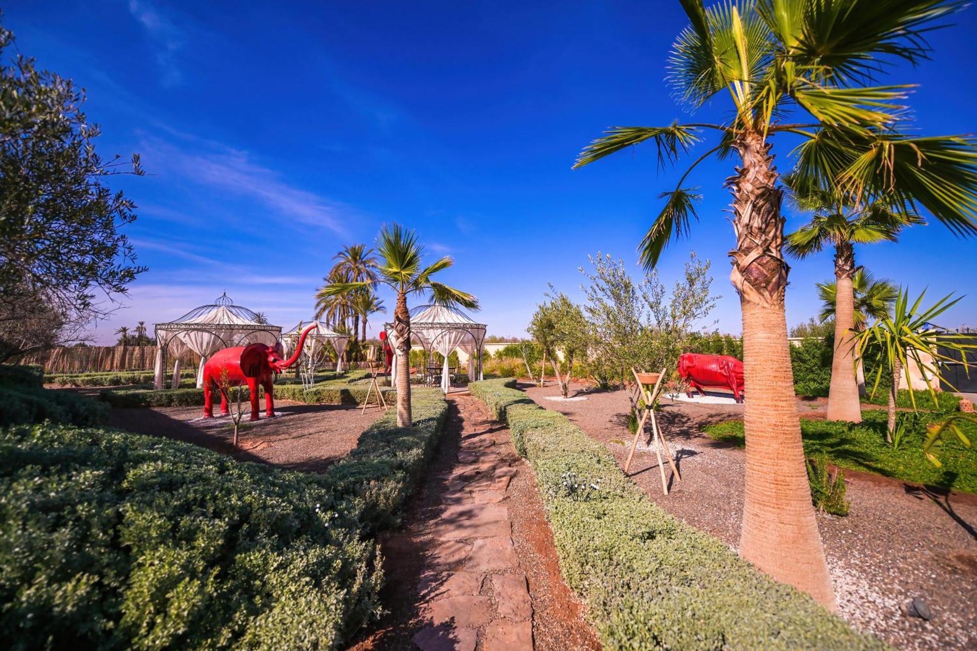 Maison Daouia Ouled Jelal Bagian luar foto